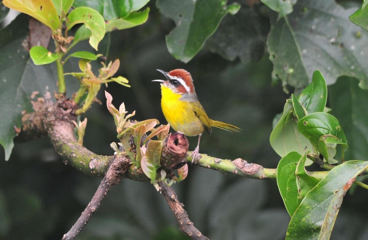 Ecobiosfera Hotel Catemaco